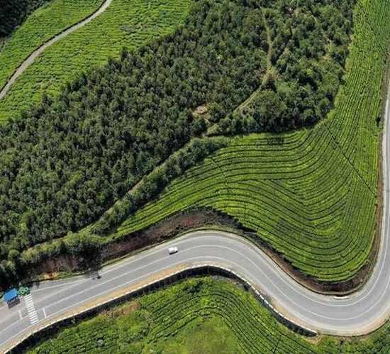 Thekkady Direction