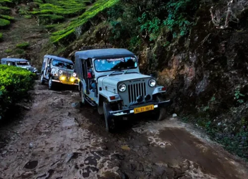 Jeep Safari