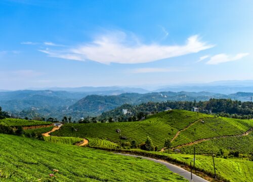 Munnar Image